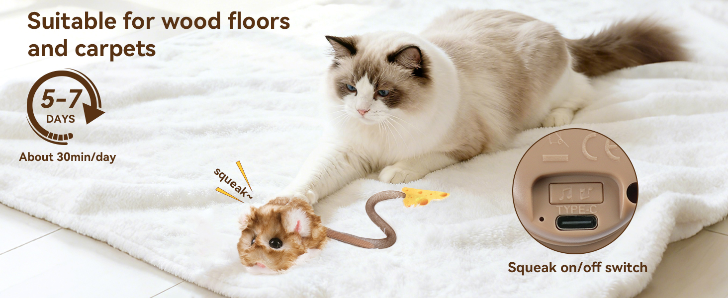 Interactive cat toy, smart cat toy, automatic teaser, electric cat toy, motion sensor