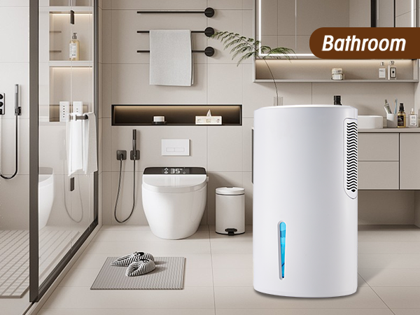 dehumidifier for basement