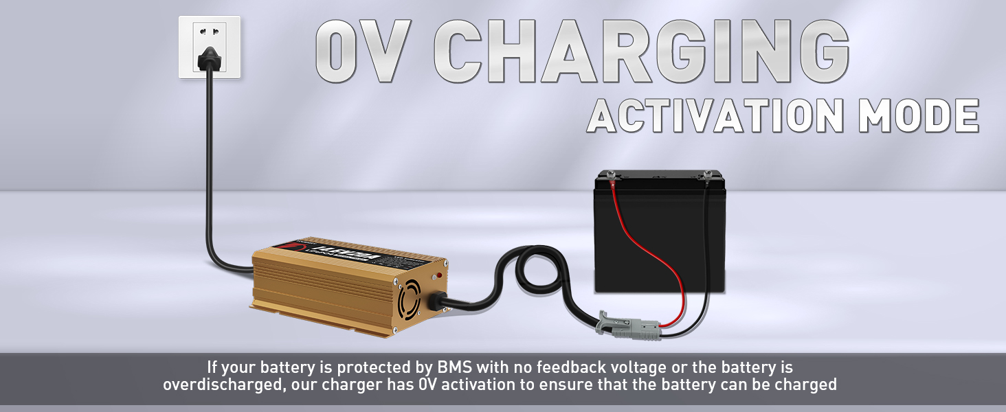 deep cycle battery charger