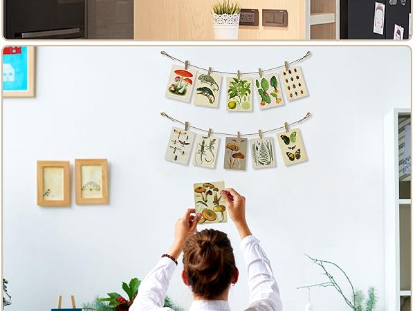 Photo Hanging Display with 50 Photo Clips
