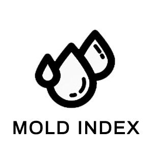 MOLD
