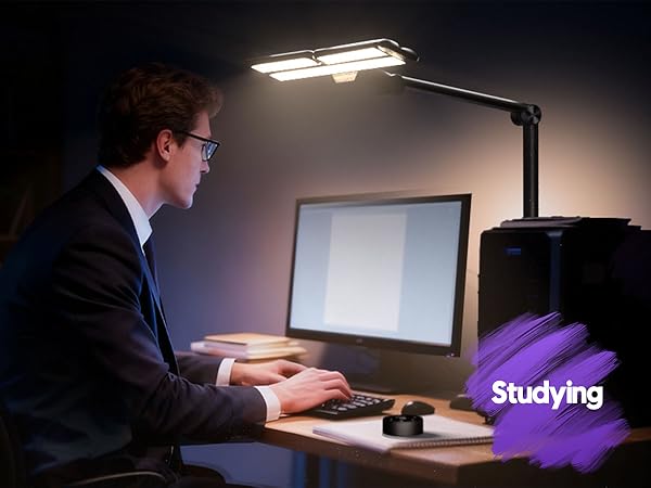 desk top lights for home office
