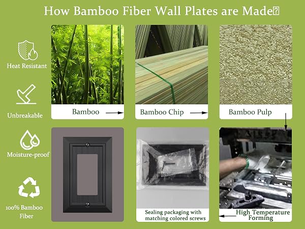 BAMBOO