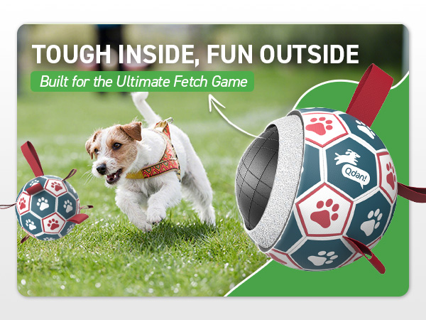 outdoor dog toys