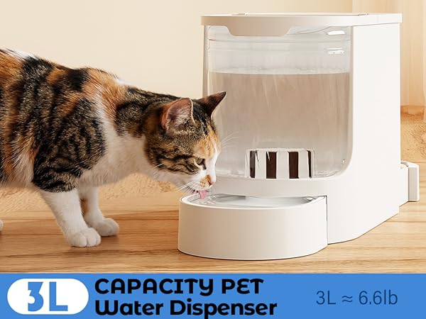 3L Capacity