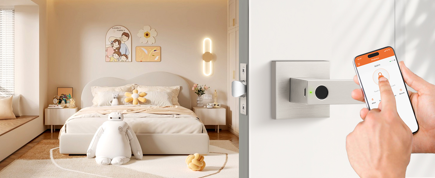 smart satin nickel door handle