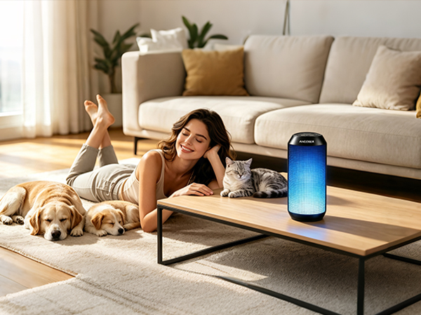 Your Everyday Home Speaker