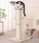 cat scratching post