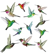 12 x Hummingbird Window Clings for Glass Windows - Window Decals for Bird Strikes