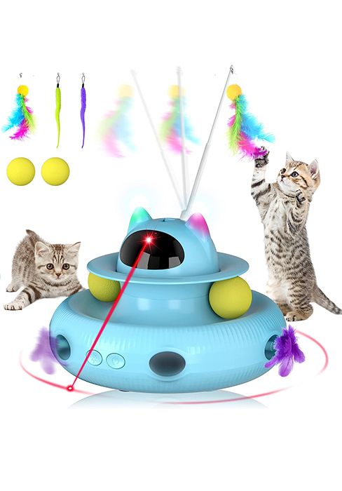 cat toys