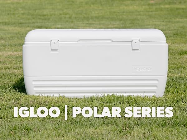 Igloo Polar 120 Qt