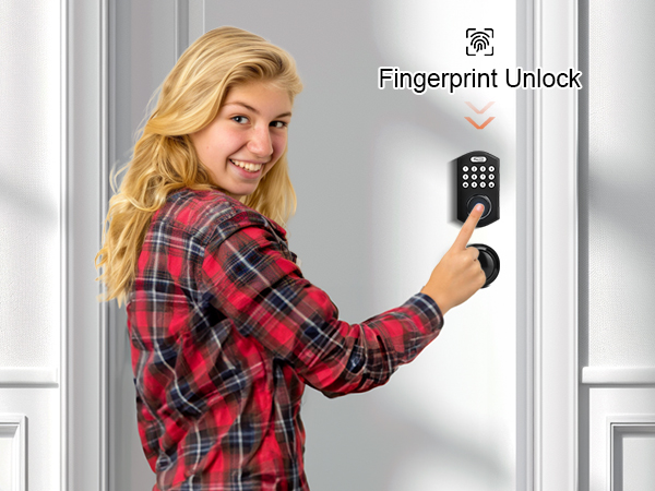 black fingerprint smart door lock