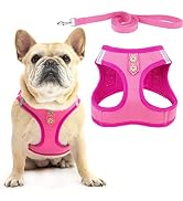 PUPTECK Dog Harness and Leash Set for Small Medium Dogs No Pull Step-in Soft Mesh Puppy Cat Vest ...