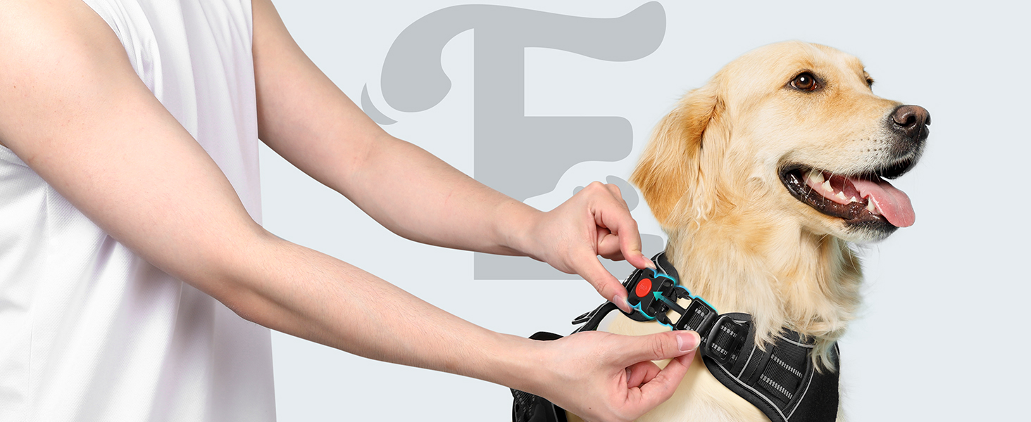 easy to wear dog harness