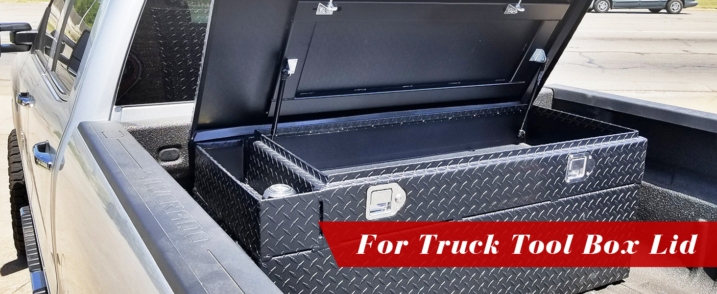 tool box lid struts