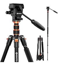 https://m.media-amazon.com/images/I/41IFjD7--PL.__AC_SR200,225___.jpg