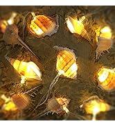 WSgift LED String Lights, Ocean Conch Beach Themed Battery Powered 9.18 ft 10 LEDs Lights for Ind...