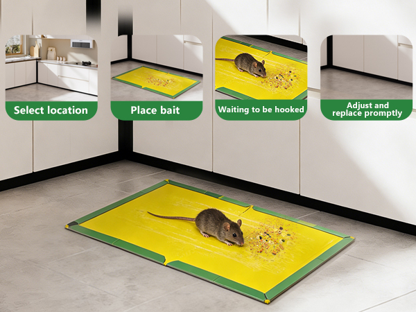 Catchmaster glue traps