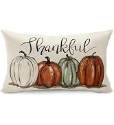 DFXSZ Fall Pillow Covers 12x20 Inch Autumn Thanksgiving Multicolor Pumpkins Lumbar Polyester Fall...
