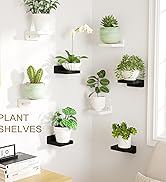 SRIWATANA Small Floating Shelves Wall Mounted, 4 Inch Wood Shelf for Decoration and Storage Set o...