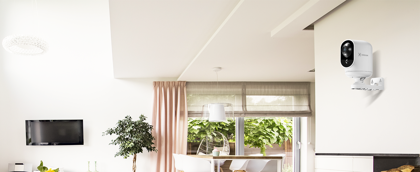 Modern living room with white walls, large windows, plants, and a mounted TV. Security camera visible in the corner.
