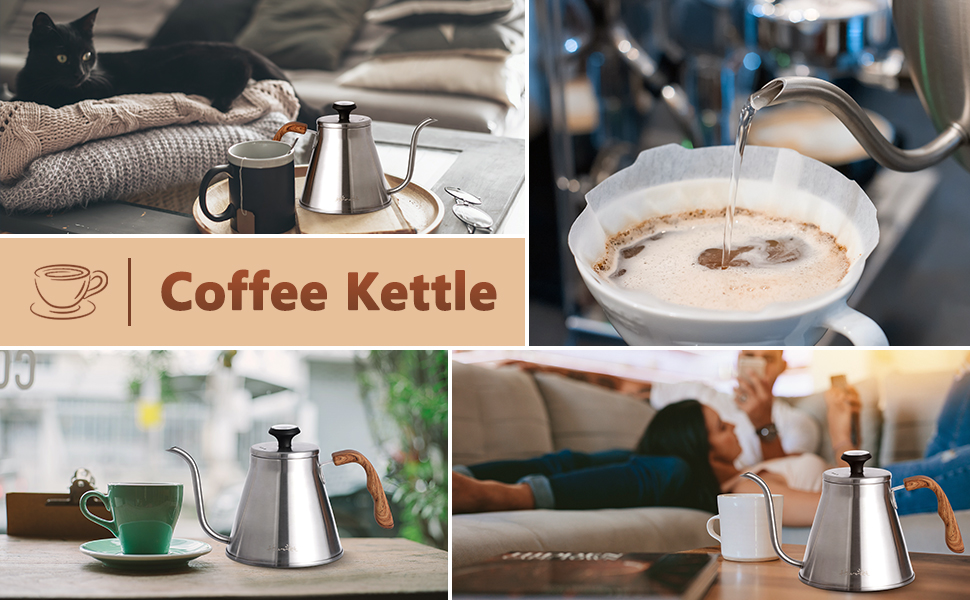 Harriet gooseneck kettle