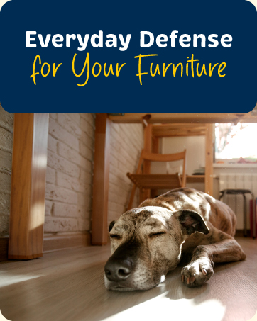 Furniture Protectors