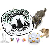 whack a mole cat toy