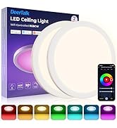 DeckTok 12 Inch Smart Ceiling Light, 2400LM RGBCW LED Flush Mount Ceiling Light Work with App & V...