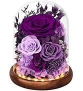 Alupssuc Forever Preserved Real Flowers for Delivery Prime, Eternal Fresh Roses in Glass Dome wit...