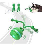 Sofolor Interactive Dog Toys, Motion Activated Automatic Rolling Ball Toys, Wicked Ball, Squeaky ...