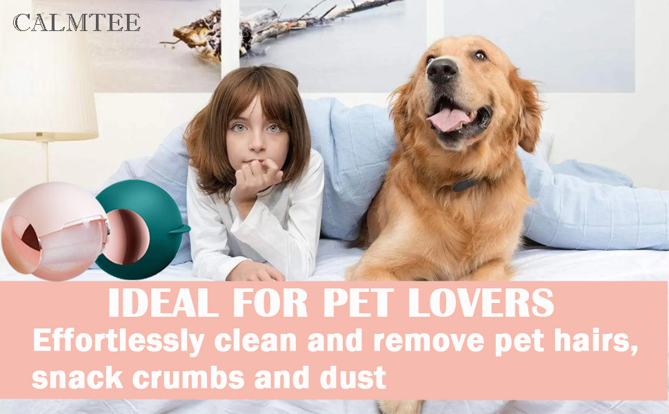 reusable lint roller ball