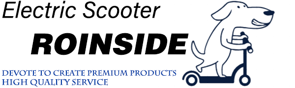 Roinside electric scooter