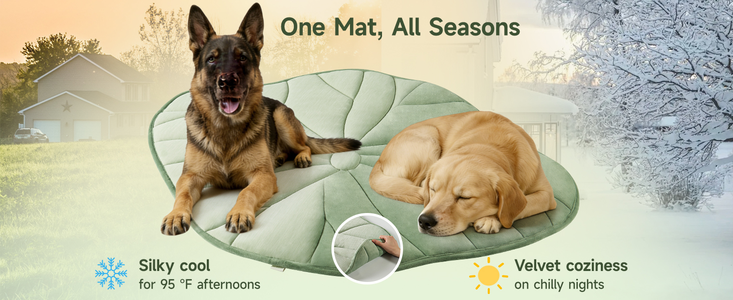 cooling mat for cats