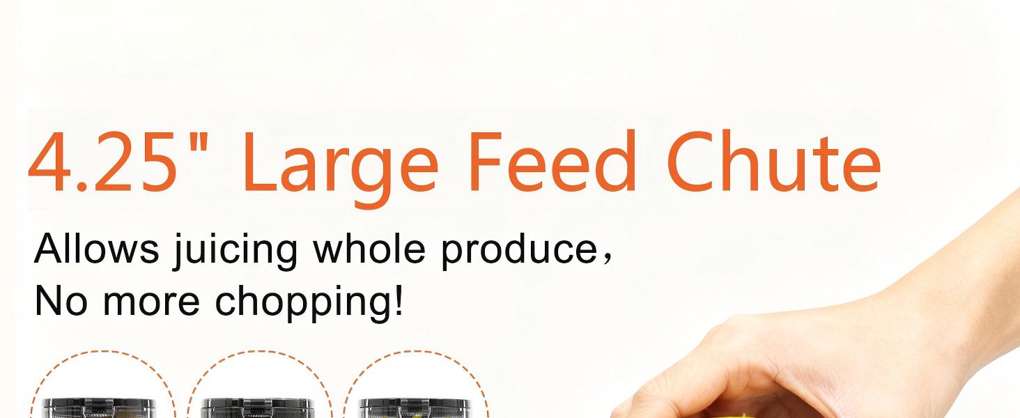 cold press juicer