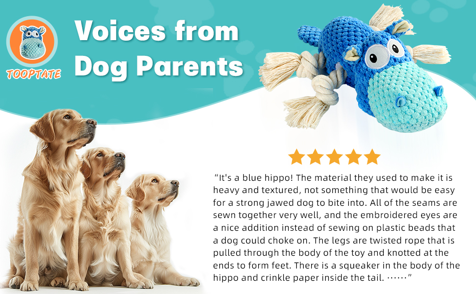 voices from dog parents