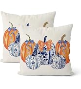 DAFENA Fall Pillow Covers 18x18 Inch 2 Pcs Burnt Orange Blue Chinoiserie Pumpkin Decor Throw Pill...