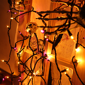 orange & puple fairy lights