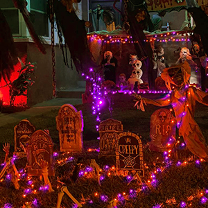 orange purple string lights