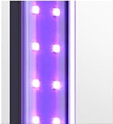 T10 Black light