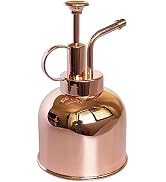 LIANSHI Plant Mister Spray Bottle Stainless steel plant sprayer, small watering can plant spray b...