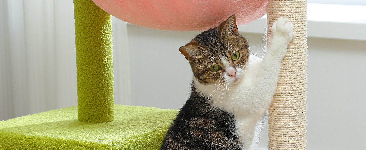 Posts and boards are made from FSC-certified wood for a safe indoor cat experience.