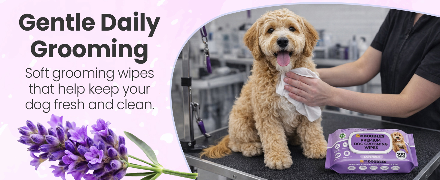 Dog paw wipes for dirt, mud, and odor removal
