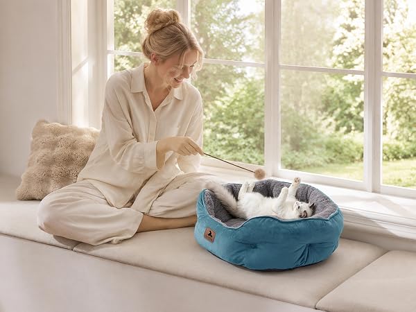 pet bed
