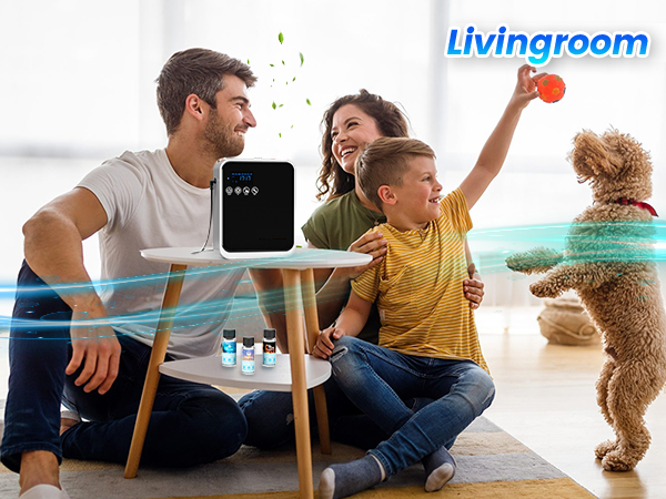 livingroom diffuser