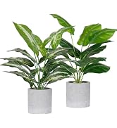 Der Rose 2 Pack 16" Indoor Fake Plants Sage Green for Office Desk Decor | Tropical artificial pla...