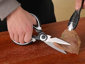 meat scissors