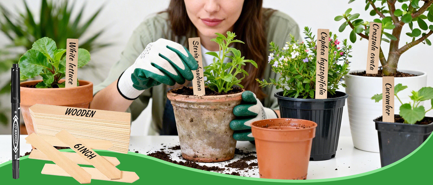 Plant label
