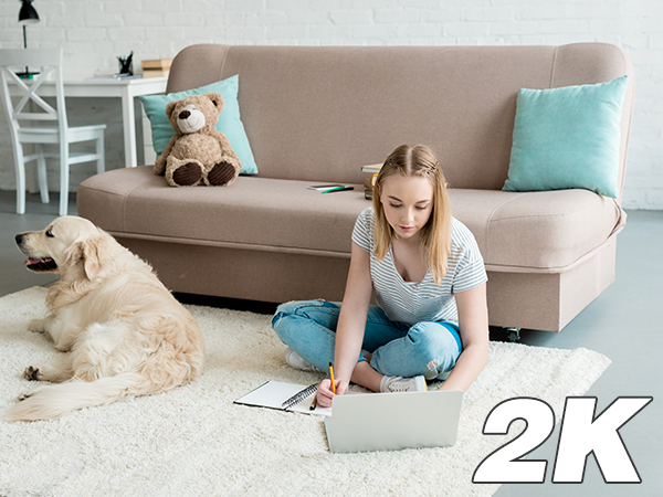 Living room scene with a beige couch, blue pillows, and a dog. A person sits on the floor using a laptop. '2K' text overlay in corner.