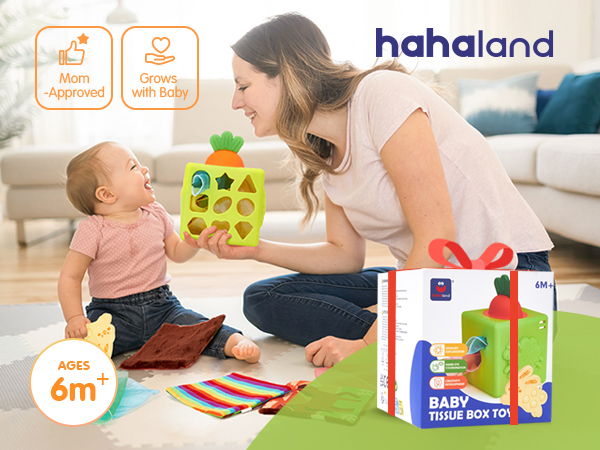 6 month old baby must have